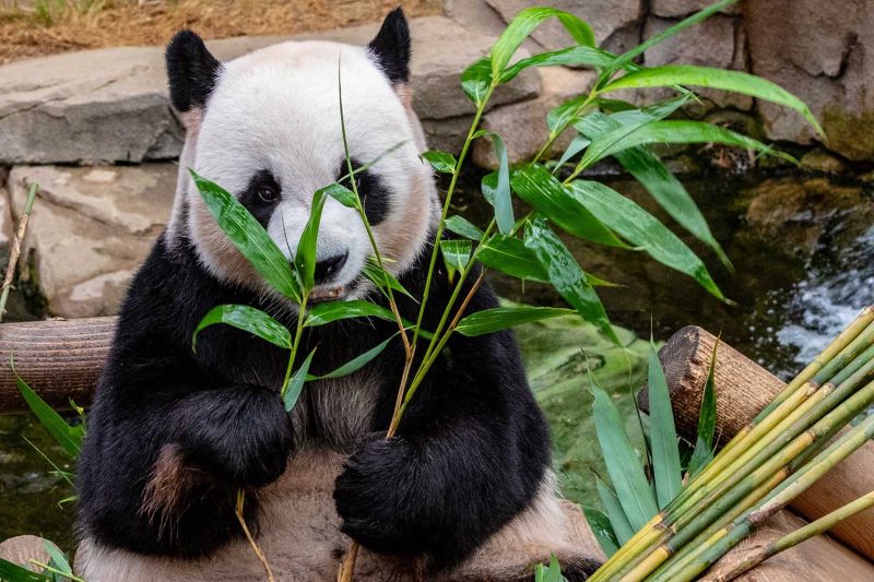 10 of the least visited countries you should travel