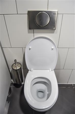 Wholesale Domestic: Your Trusted Destination for Bathroom Solutions